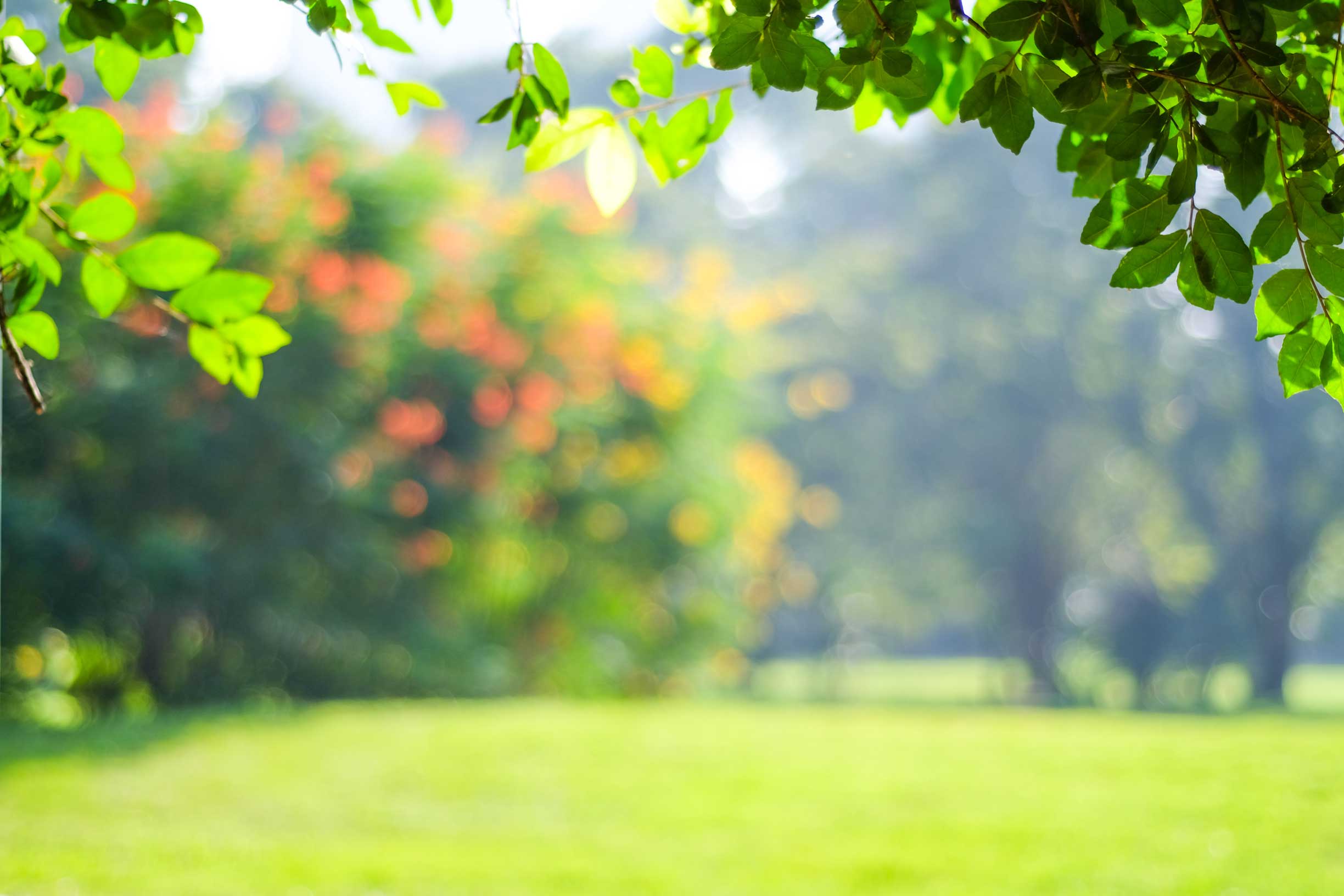 Résidence Les Jardins Taillon